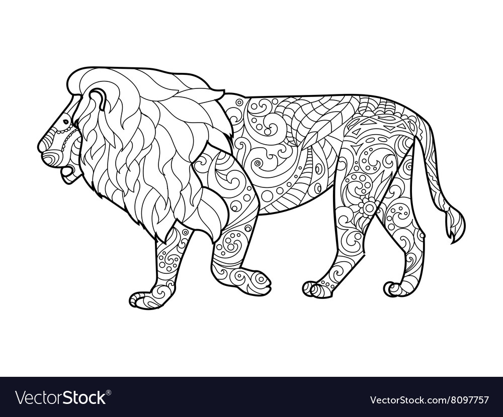Lion Coloring Book For Adults Royalty Free Vector Image