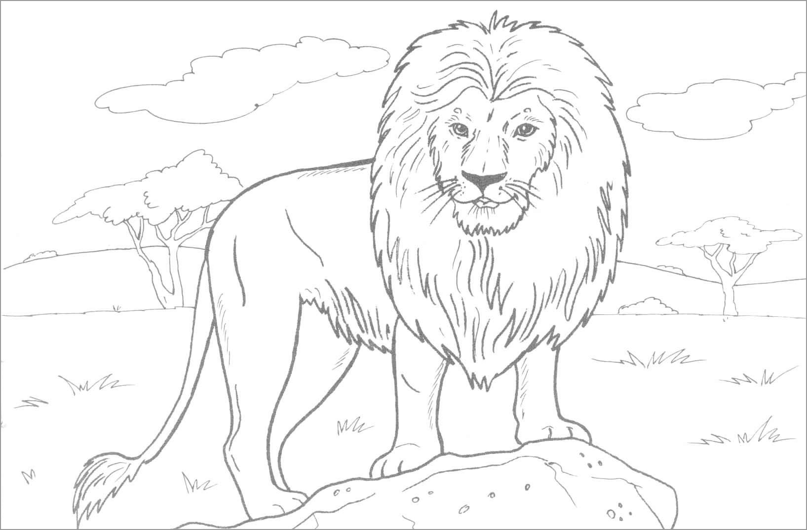 Lion Coloring Pages ColoringBay