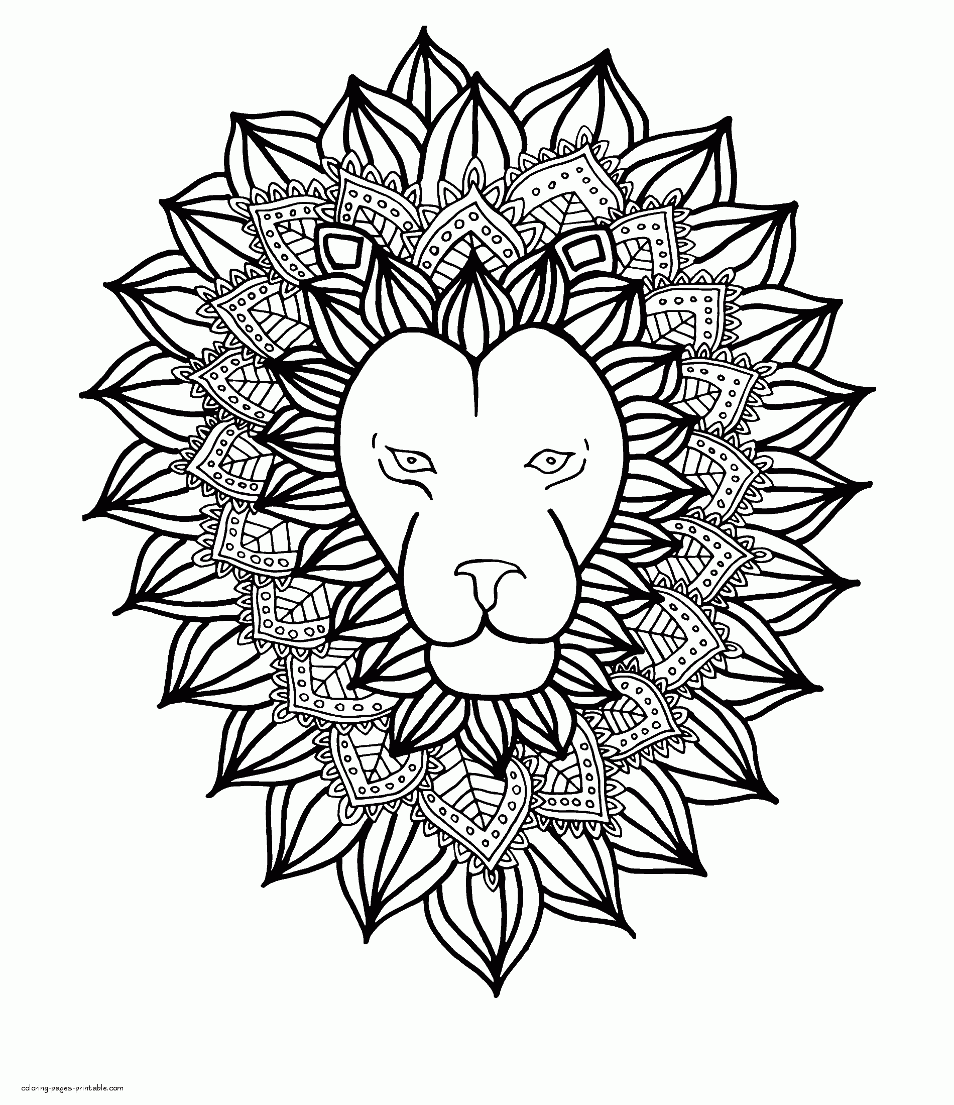 Lion Coloring Pages For Adults COLORING PAGES PRINTABLE COM