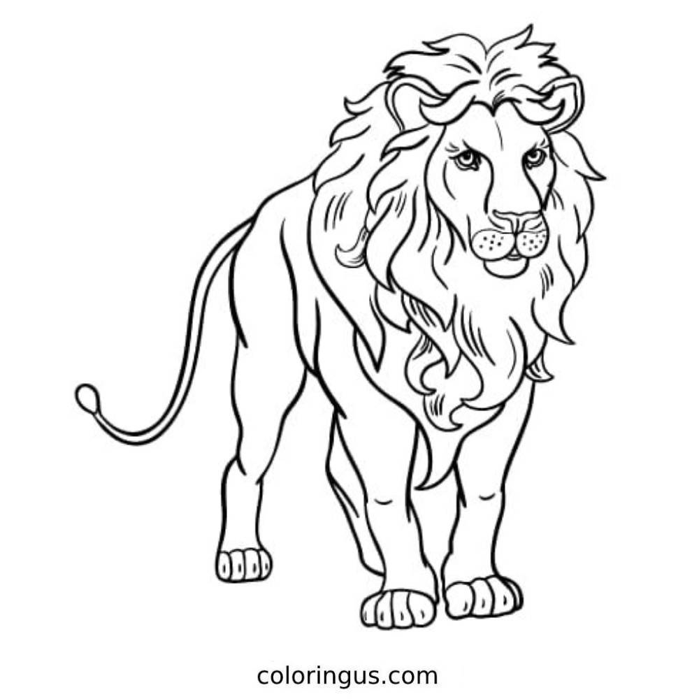 Lion Coloring Pages Free Printable Lion Coloring Sheets