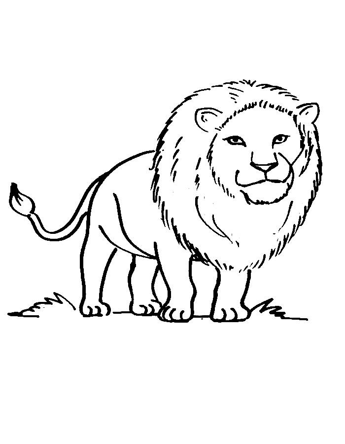 Lion Coloring Pages Free Printable PDF 