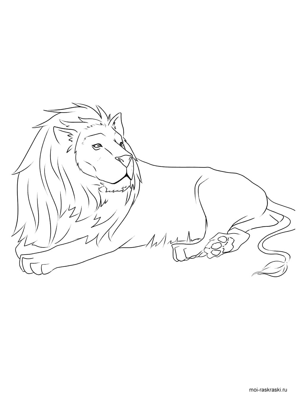 Lion Coloring Pages Free Printable