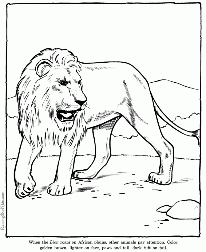 Lion Coloring Pages Zoo Animals 006