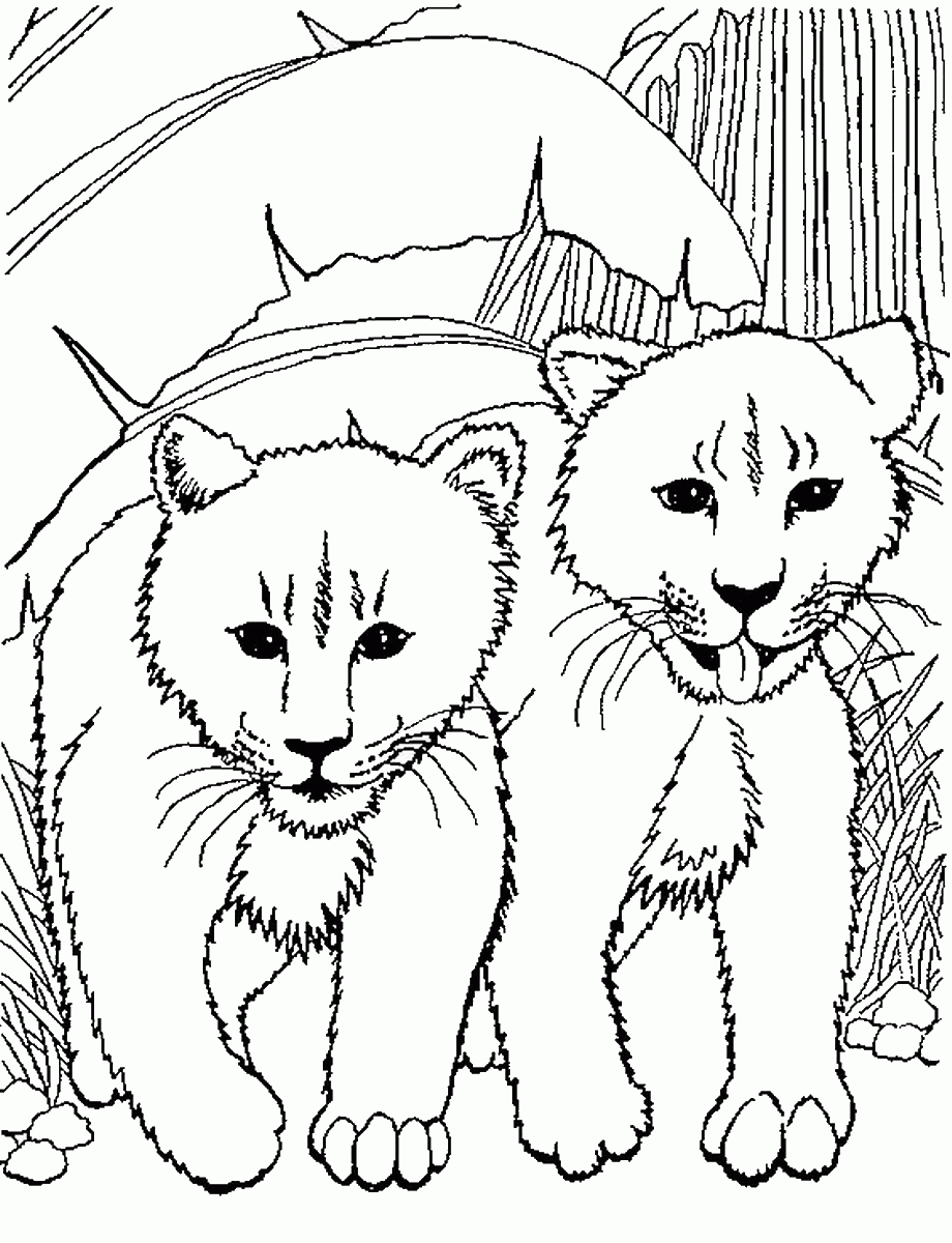 lion coloring pages