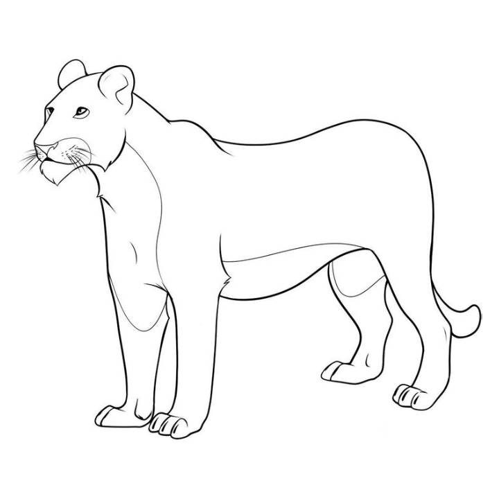 female lion coloring pages