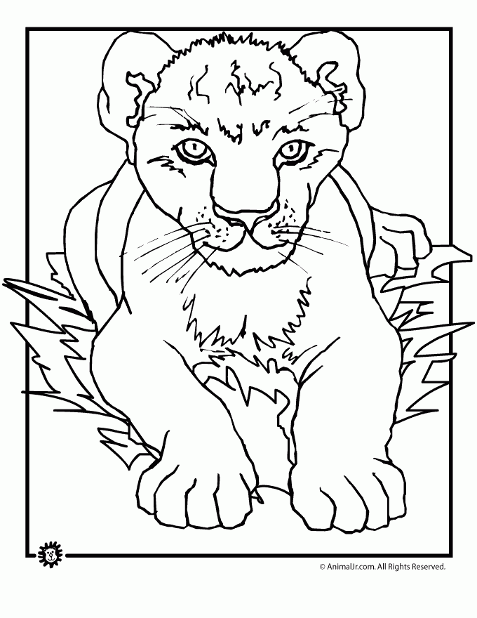 Lion Cub Coloring Page Woo Jr Kids Activities Children 39 s Publishing