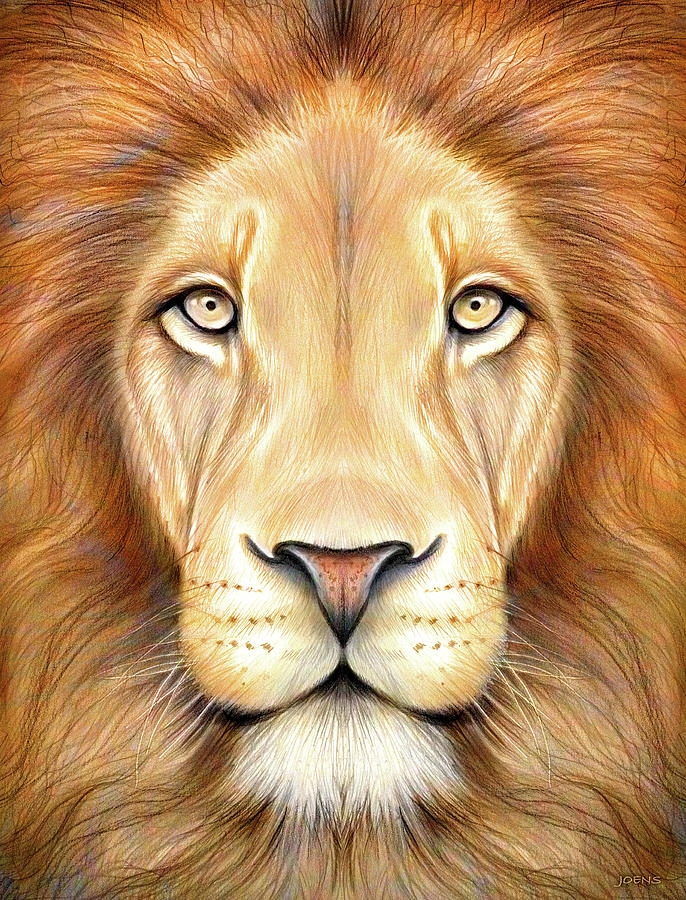 Lion Drawing Color At GetDrawings Free Download