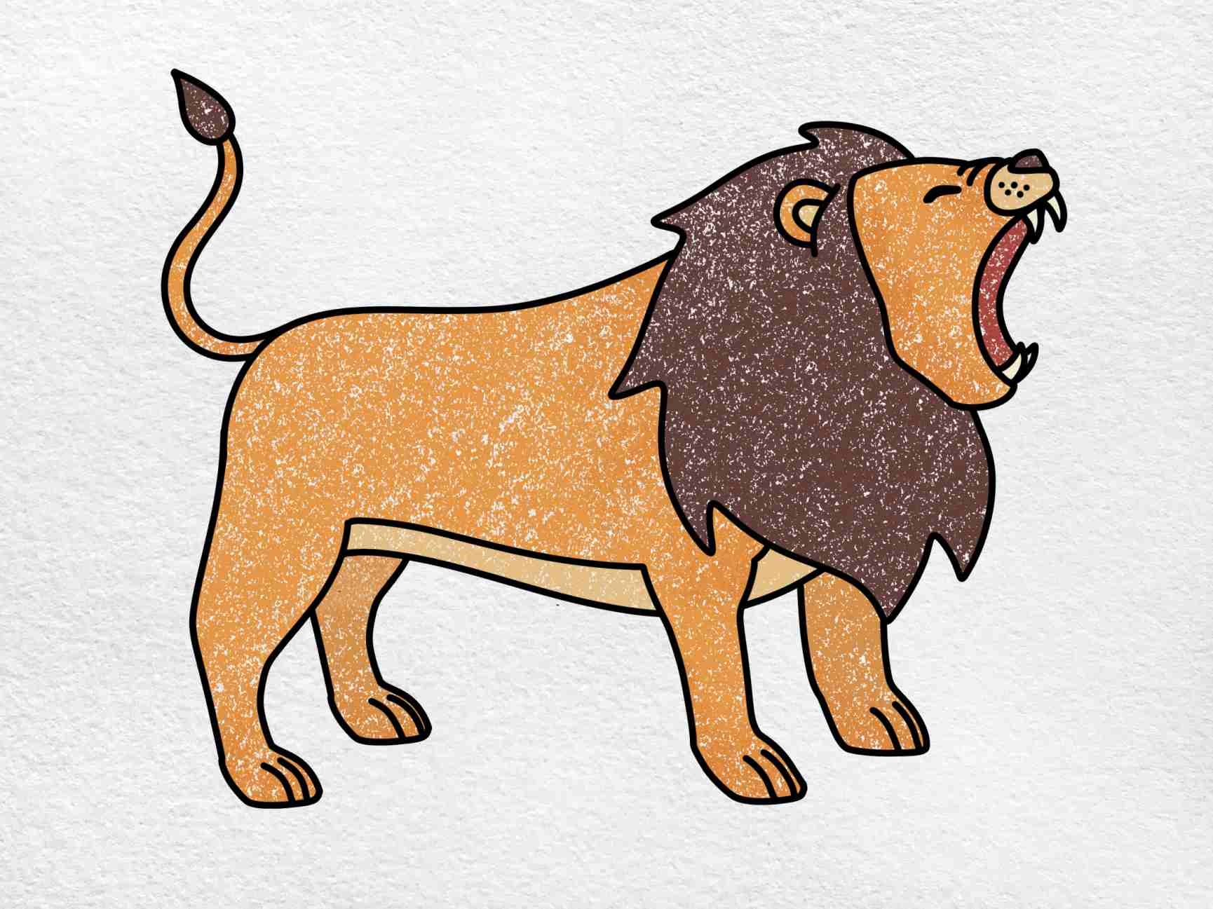 easy lion drawing color