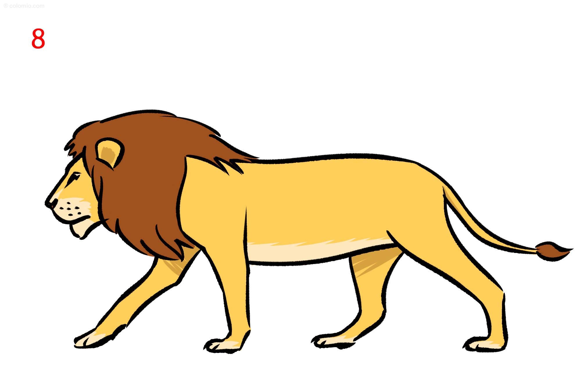 Lion Drawing Ideas How To Draw A Lion
