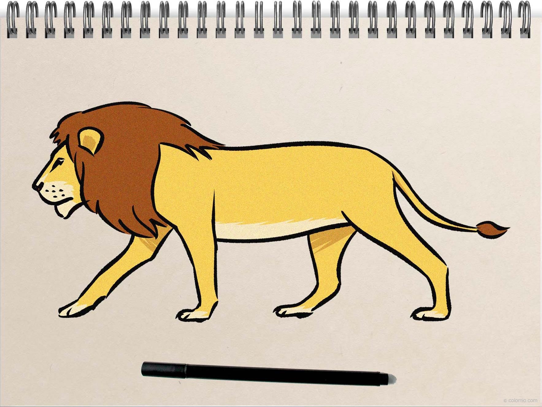 Lion Drawing Images Infoupdate