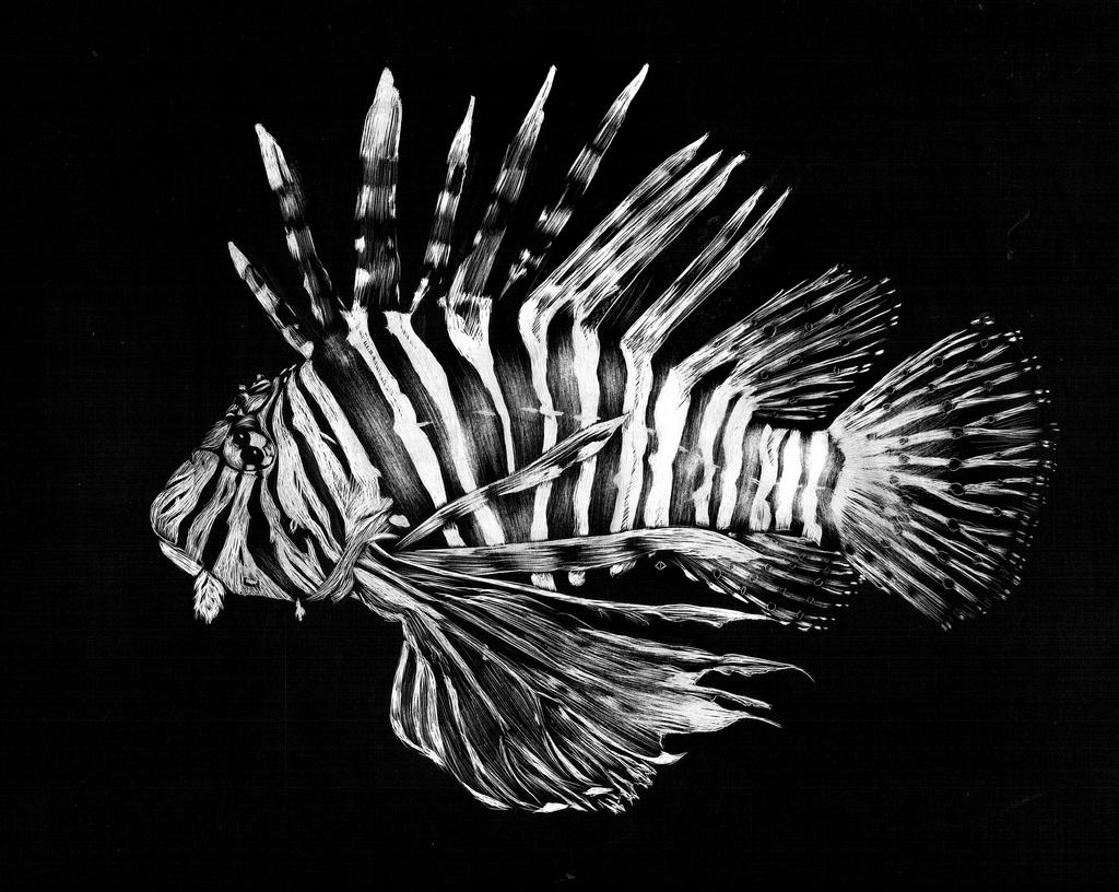 Lion Fish By KCJoughDoitch On DeviantArt