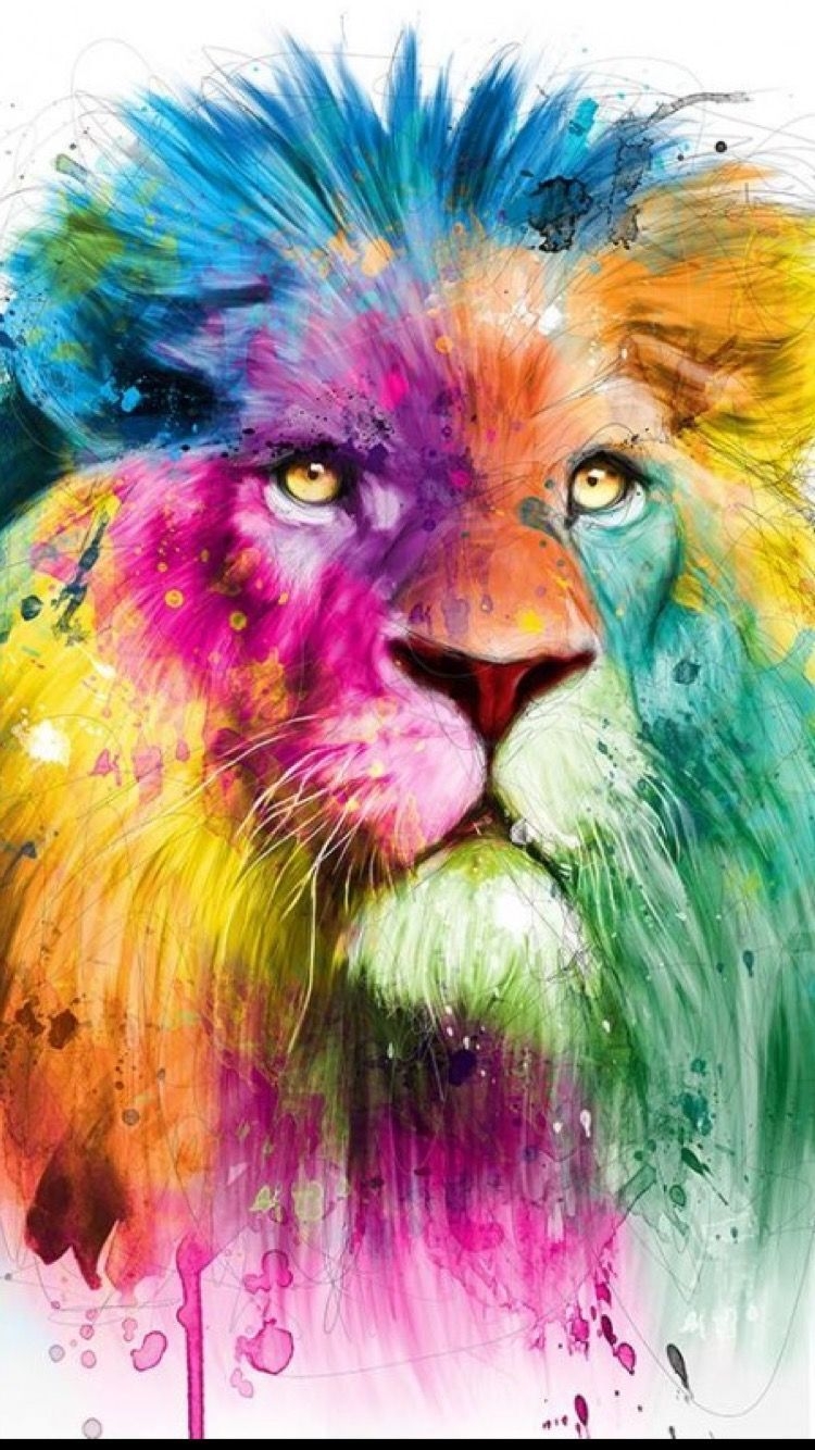 Lion Graffiti Wallpapers Wallpaper Cave