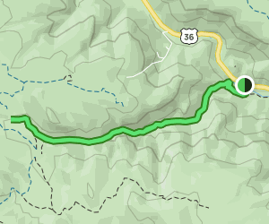 Lion Gulch Trail 1021 Reviews Map Colorado AllTrails