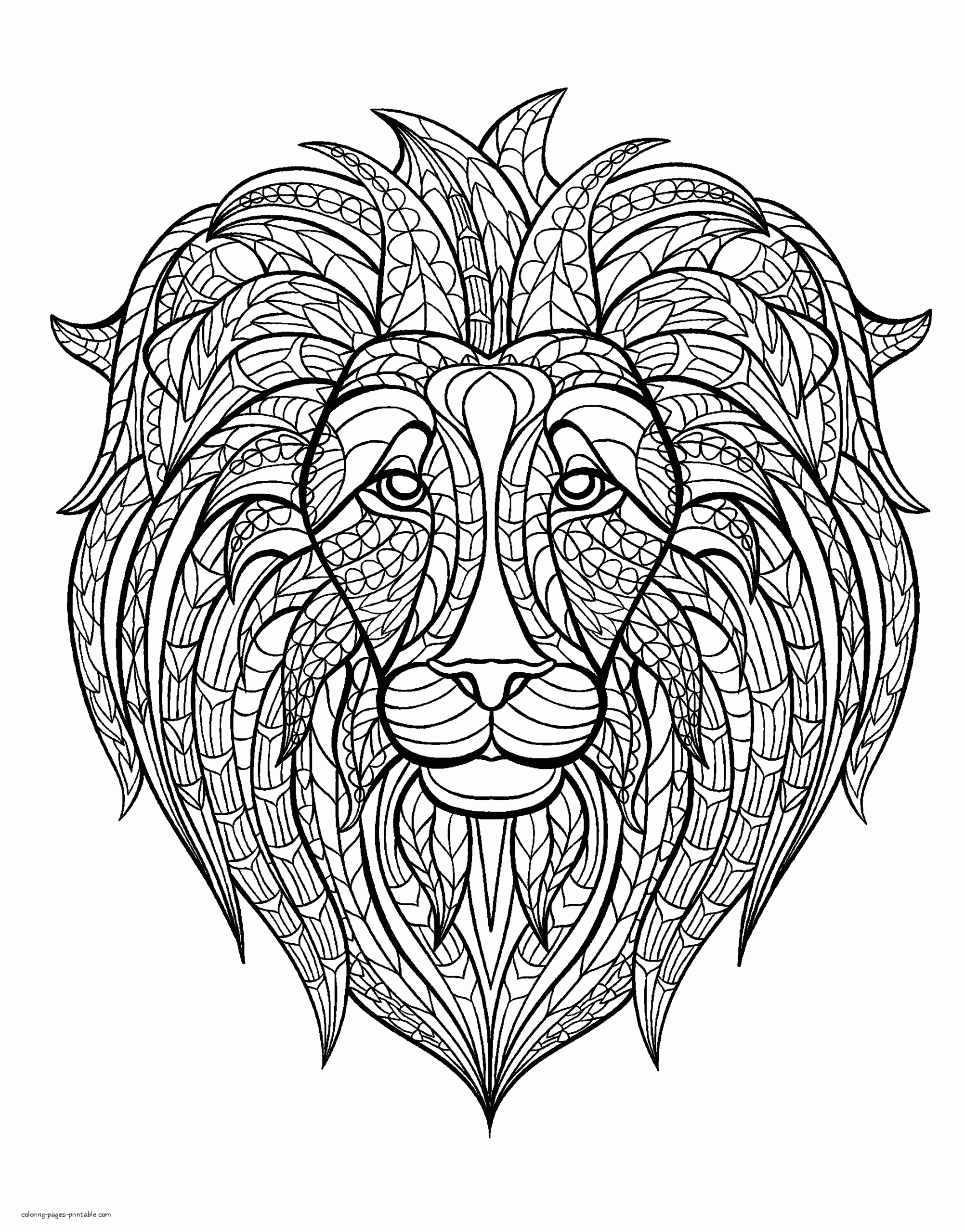 adult lion coloring pages