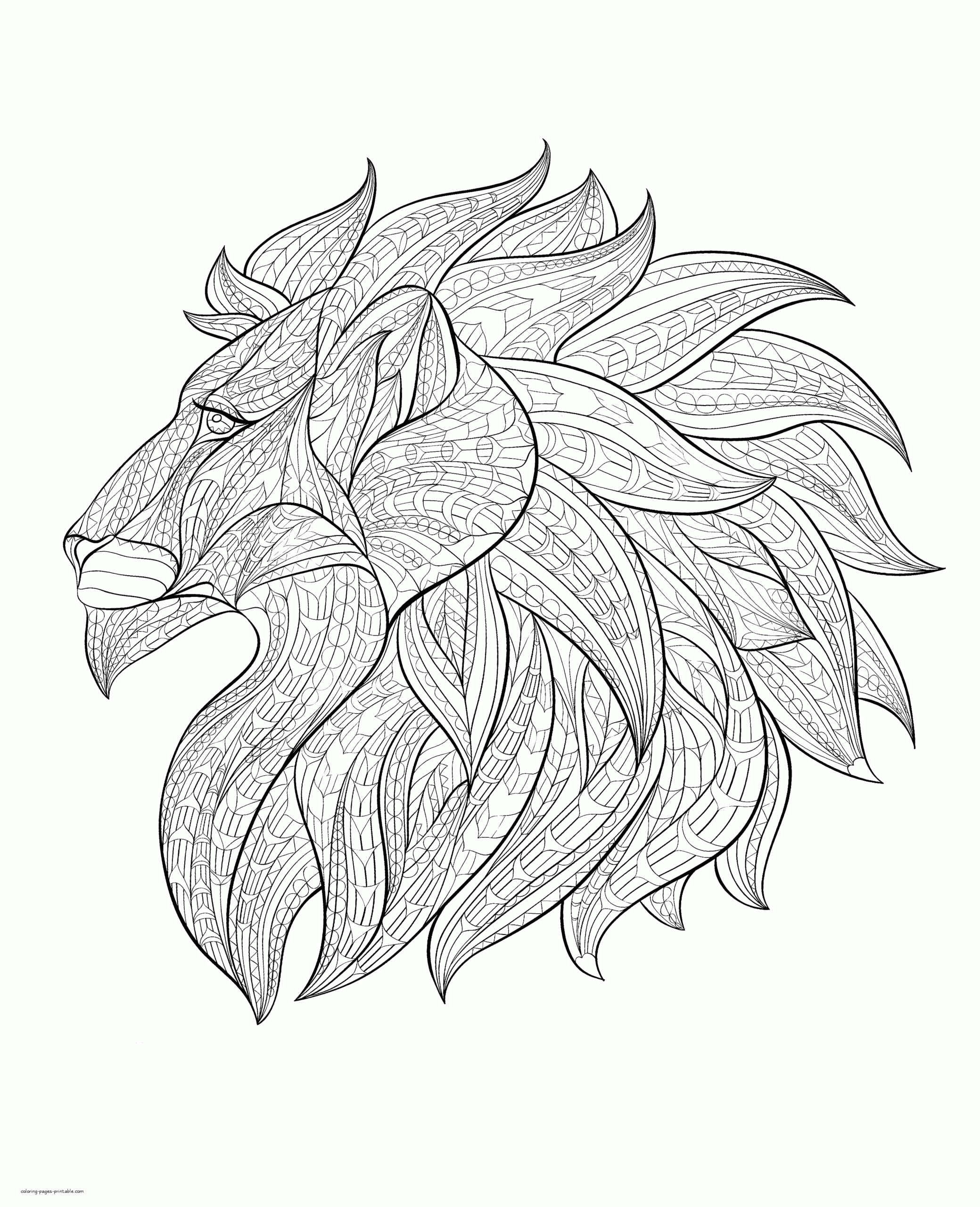 Lion Head Lion Coloring Pages Bring The King Of The Jungle To Life 