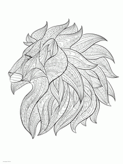 Lion Head Lion Coloring Pages For Adults Already Colored There 39 s A 