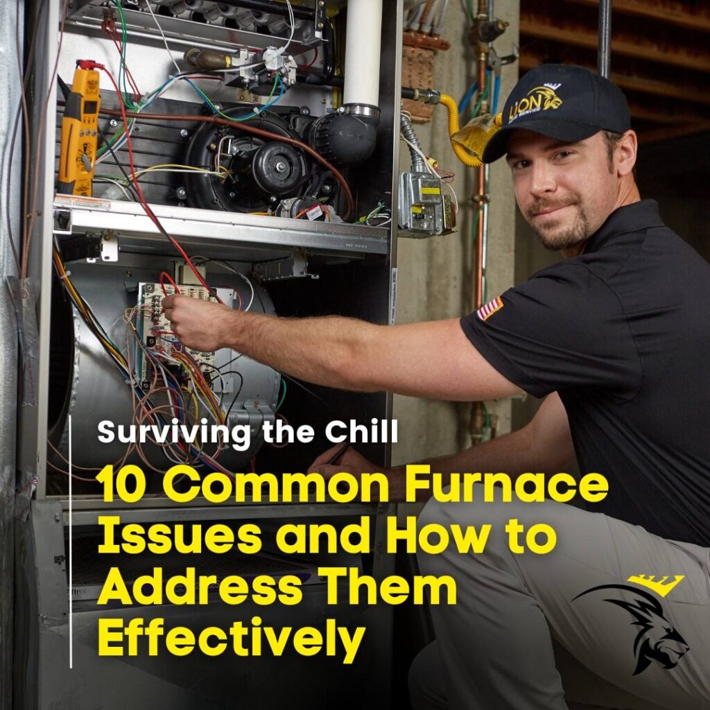 Lion Home Service Northern Colorado Hvac Electricians Roofing