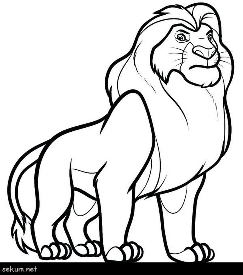 Lion King 2019 Coloring Pages Scenery Mountains