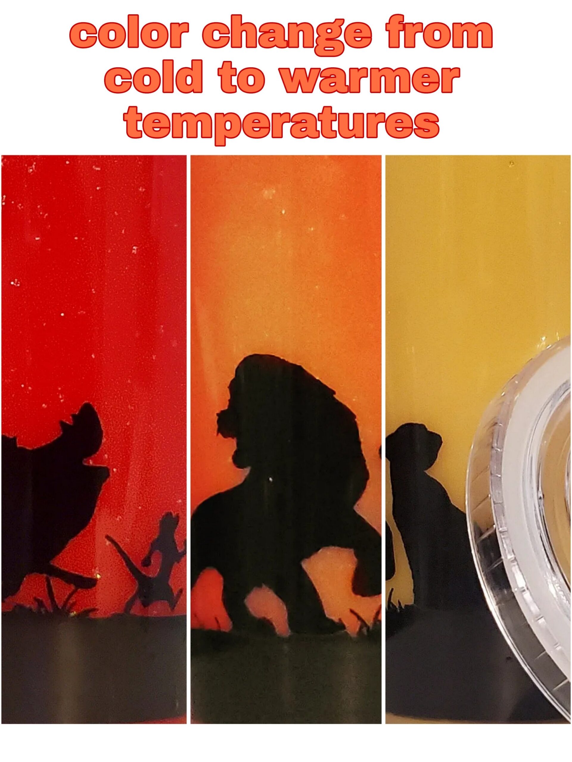 Lion King Color Changing Tumbler Etsy