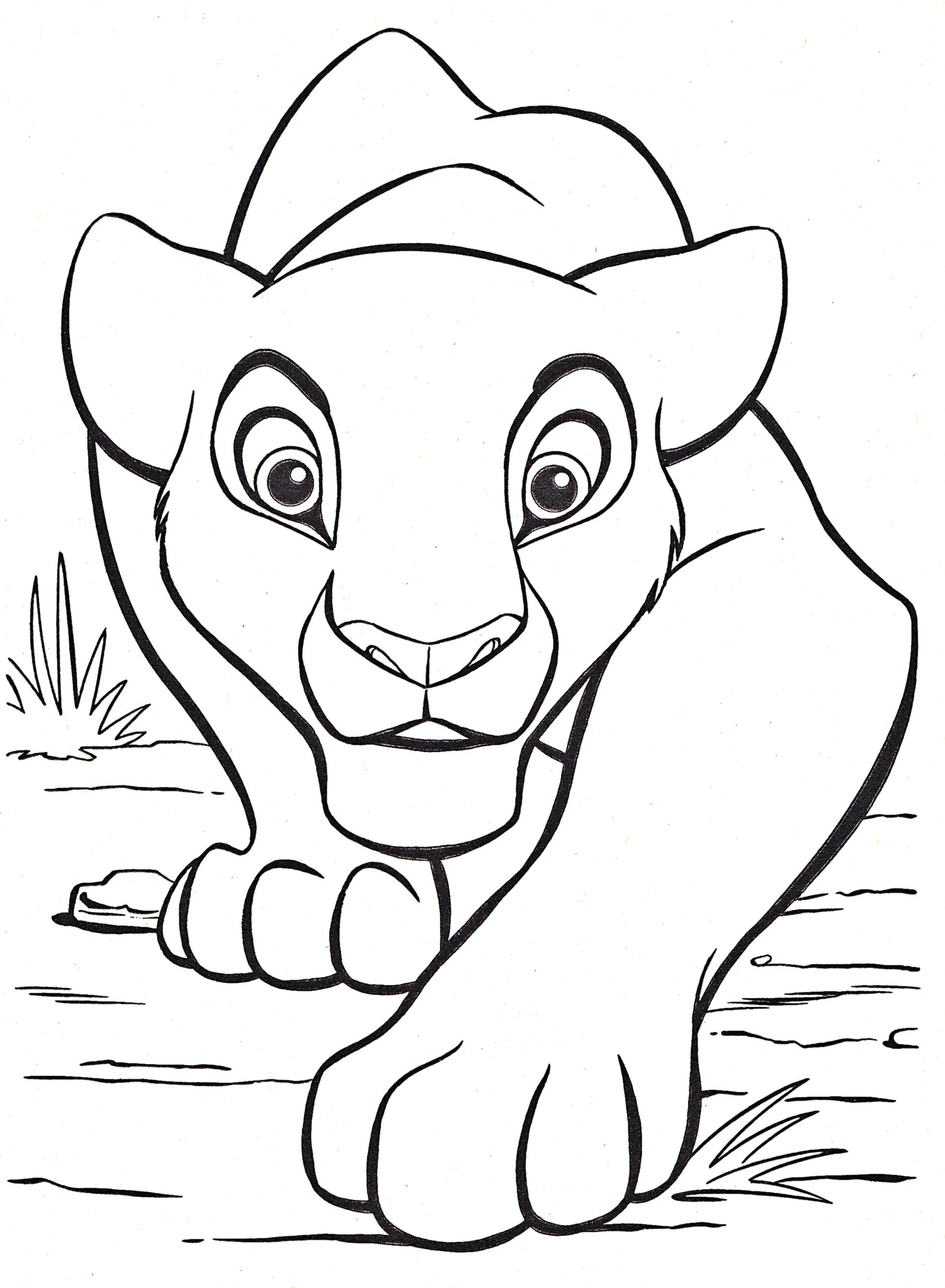 Lion King Coloring Pages Kovu At GetDrawings Free Download