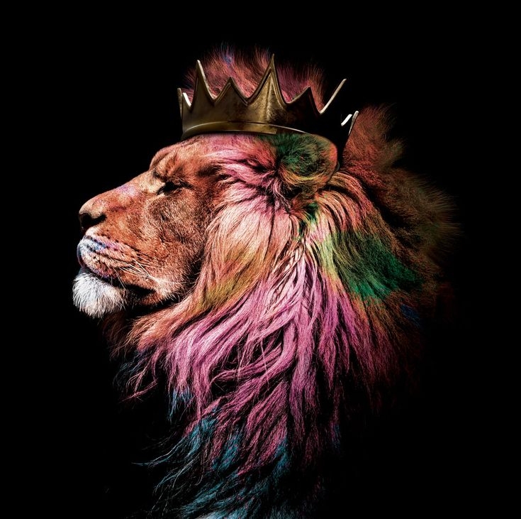 Lion King Colors Glass Wall Art Glass Printing Lion King Art Glass 
