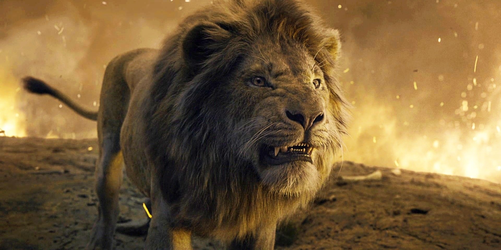 Lion King Simba Vs Scar Infoupdate