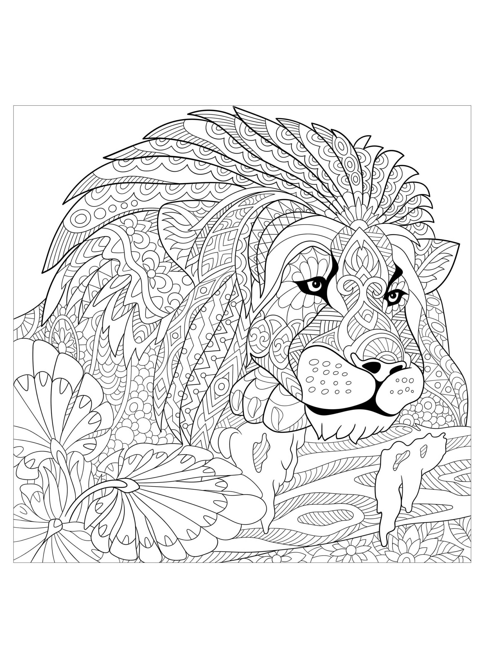 Lion King With Patterns Lions Adult Coloring Pages The Best Porn Website