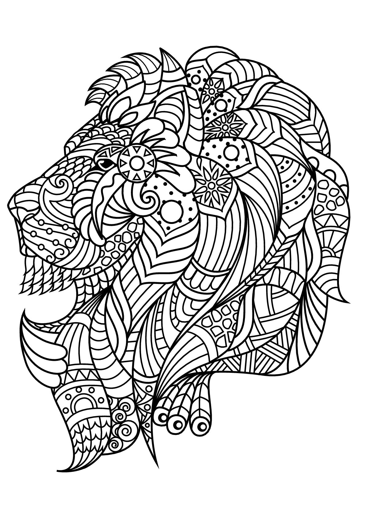 lion picture coloring