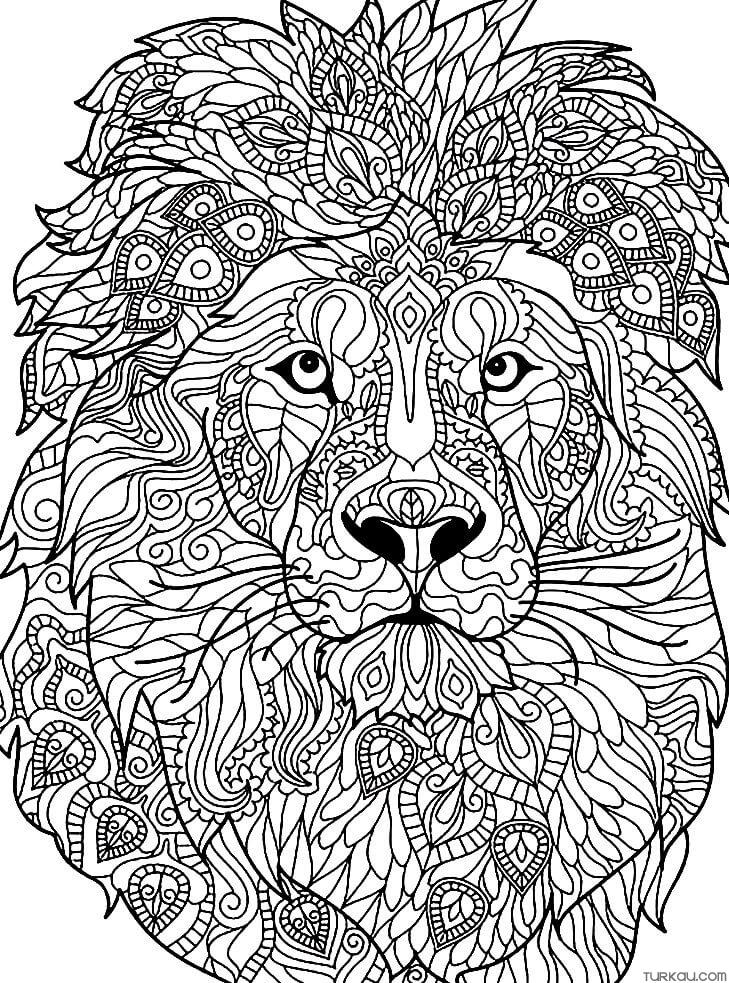 lion mandala colors