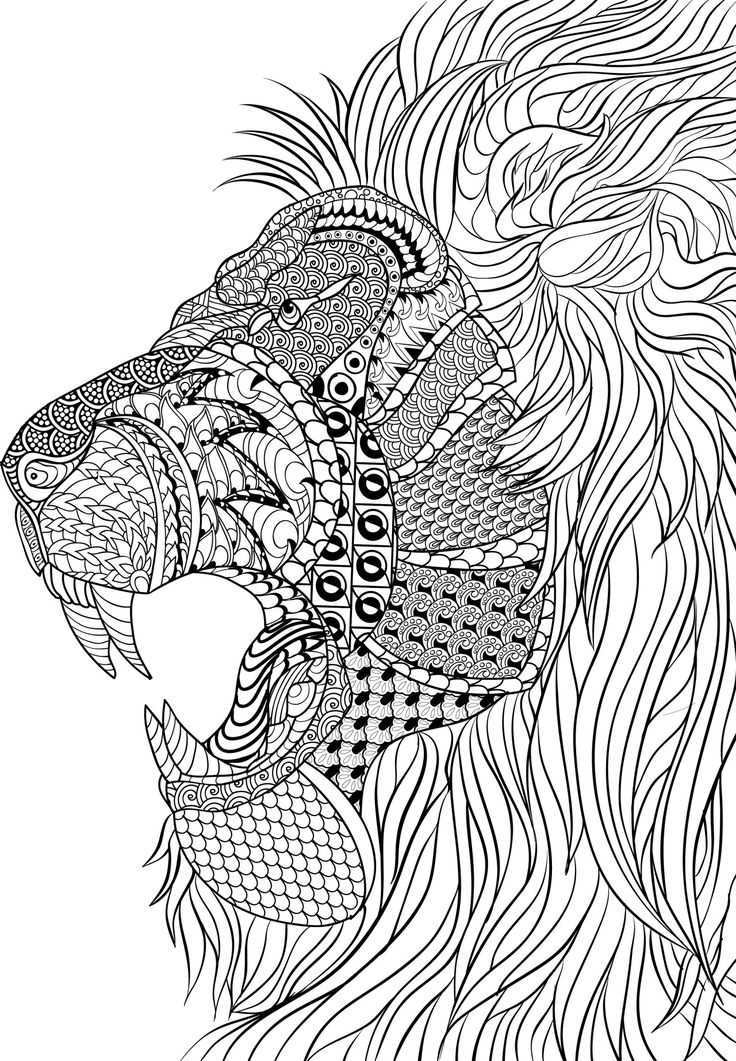 Lion Mandala Coloring Pages At GetDrawings Free Download
