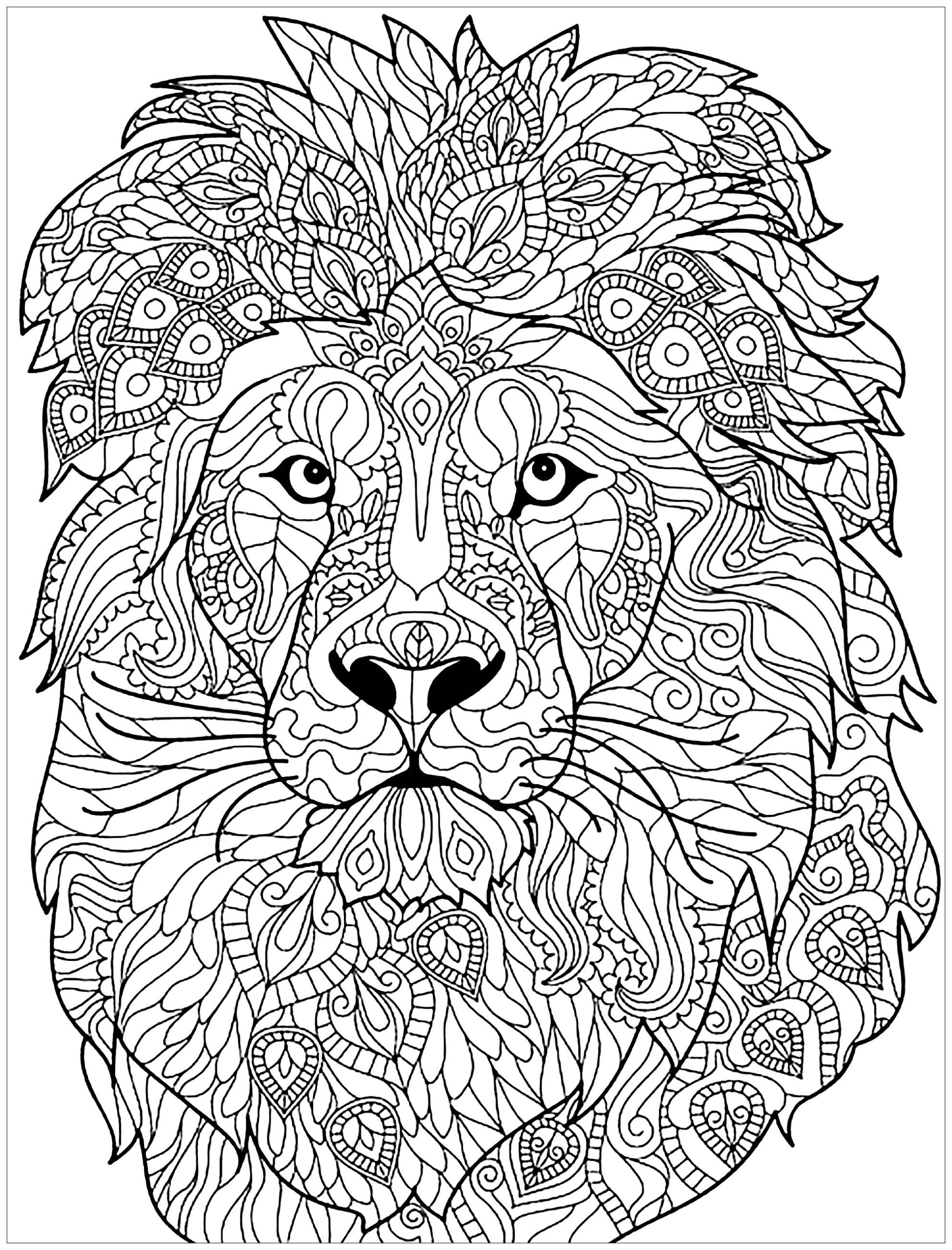 Lion Mandala Coloring Pages At GetDrawings Free Download
