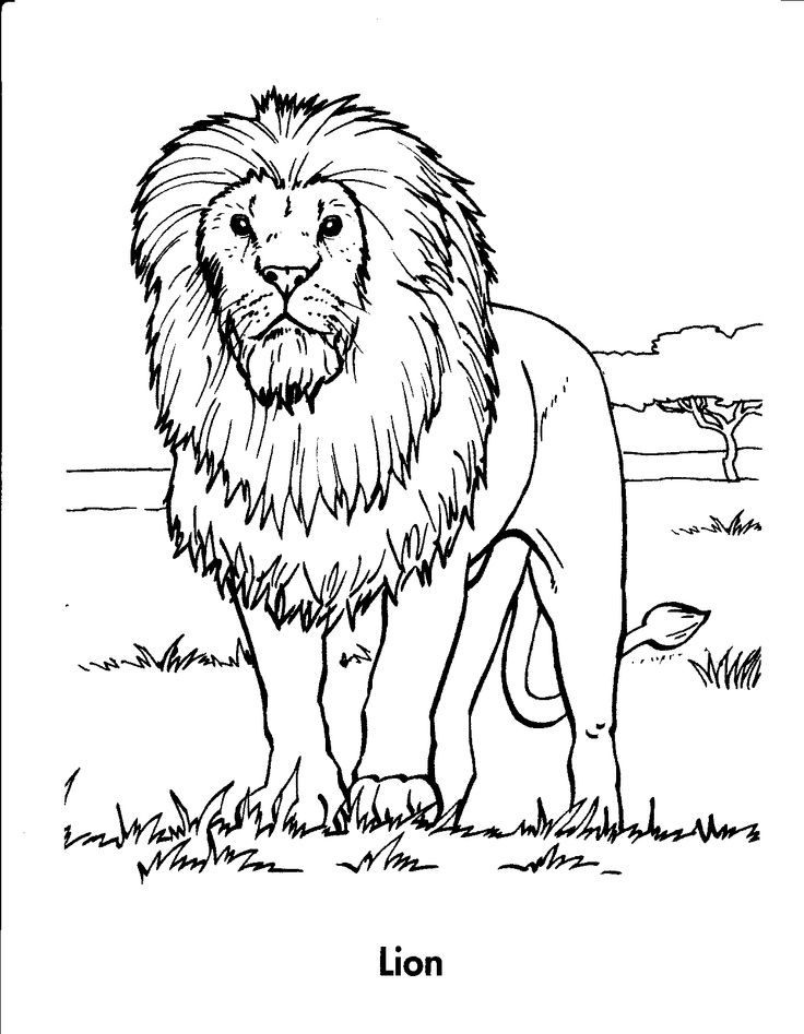 Lion Of Judah Coloring Pages Coloring Pages
