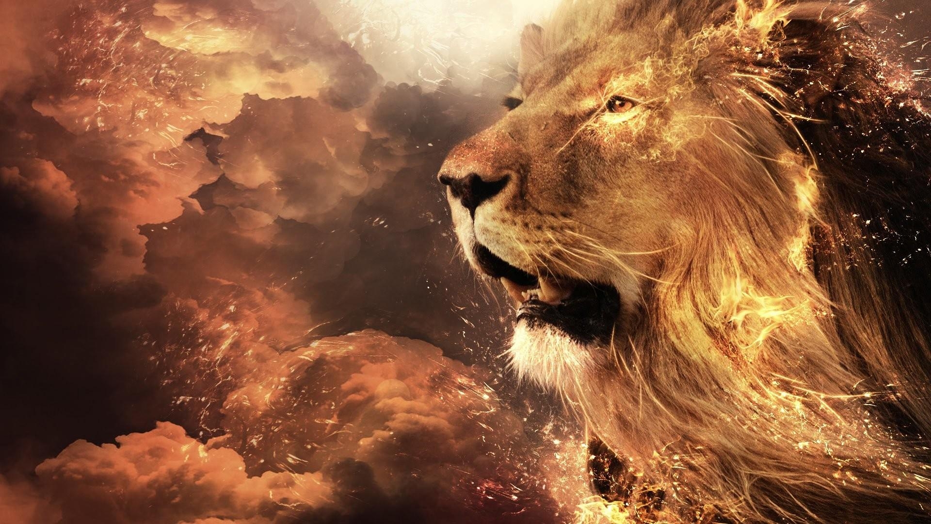 Lion Of Judah HD Wallpapers Wallpaper Cave