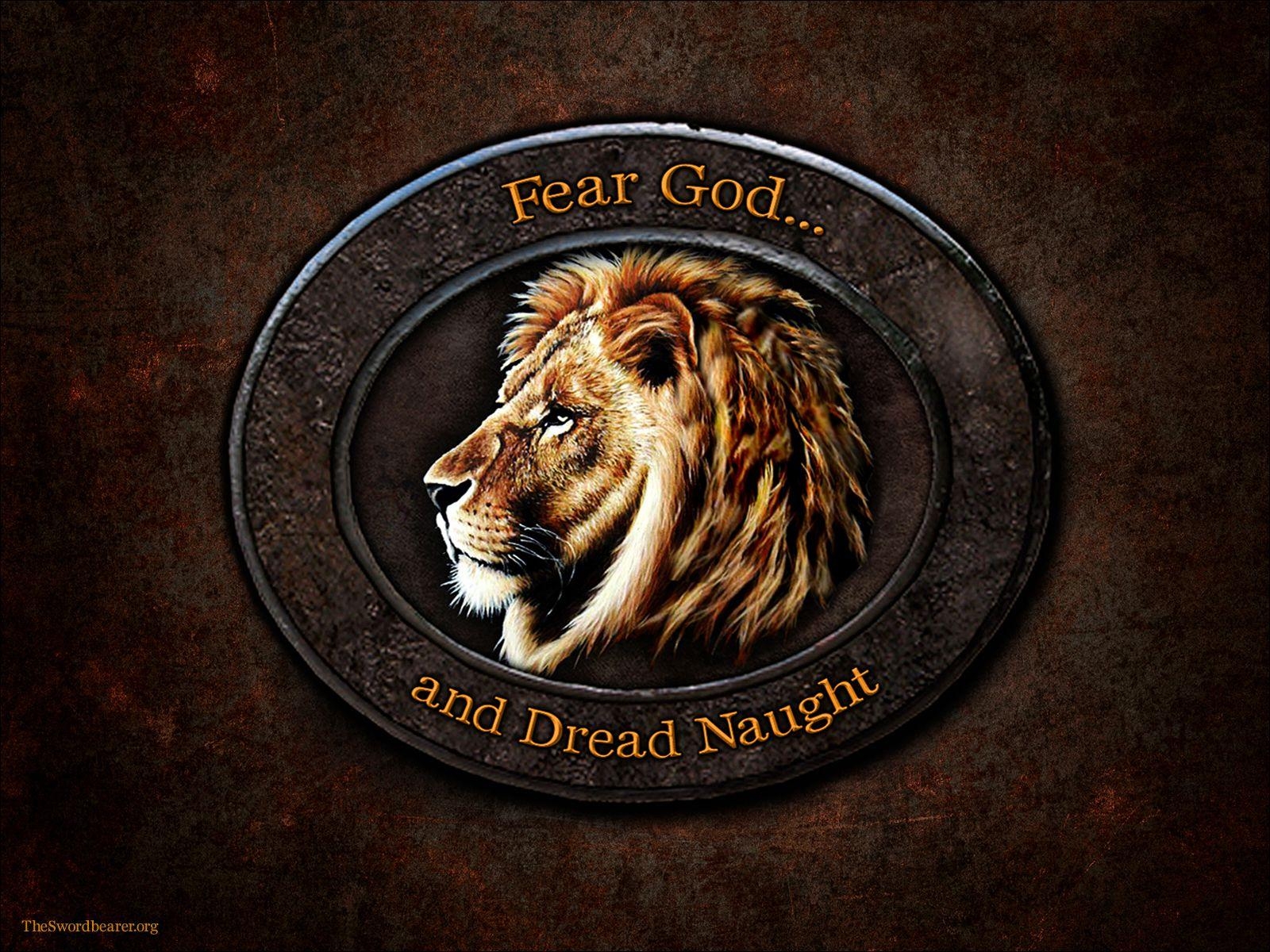 Lion Of Judah Wallpapers Top Free Lion Of Judah Backgrounds 