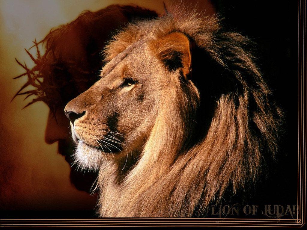 Lion Of Judah Wallpapers Top Free Lion Of Judah Backgrounds 