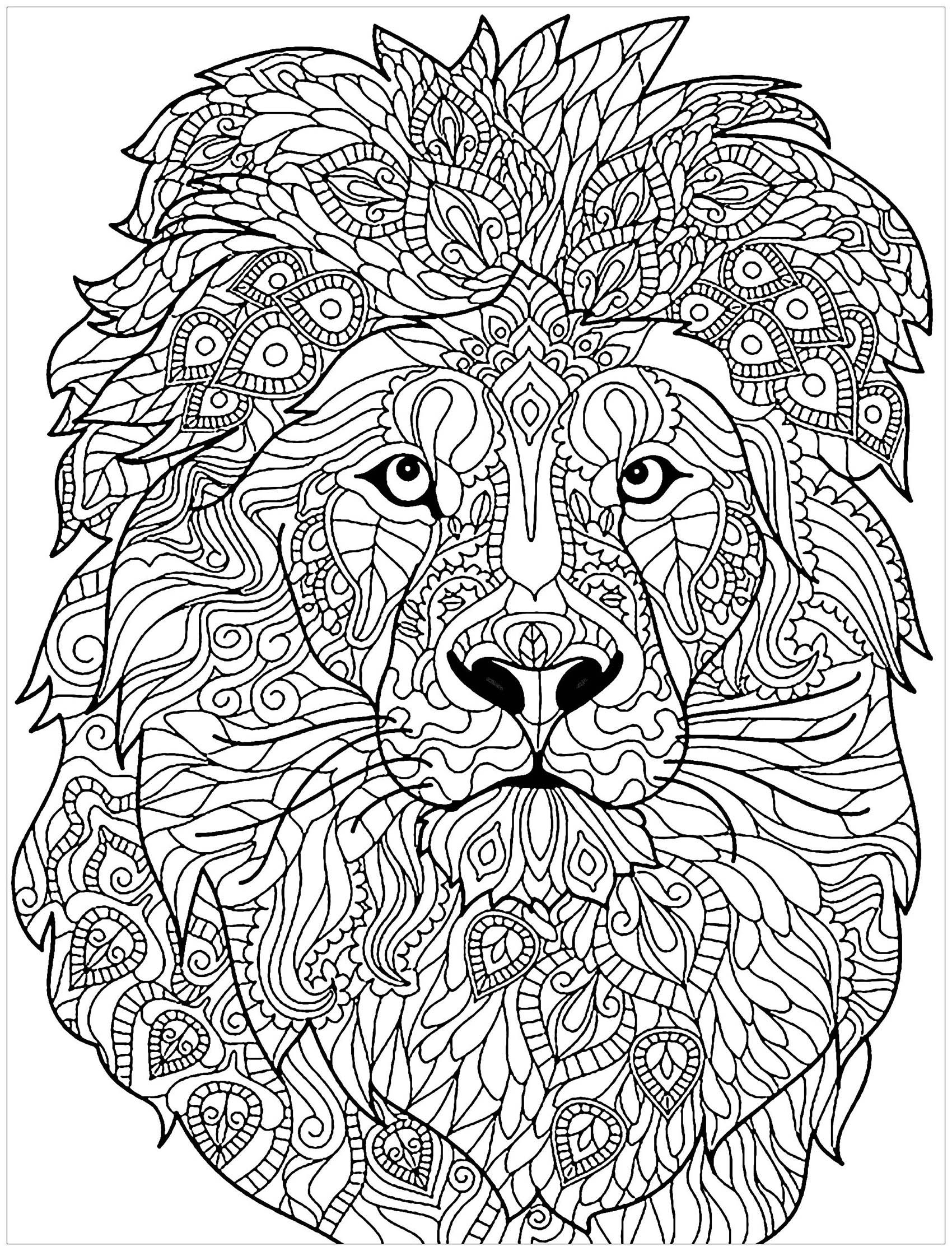 lion coloring sheets printable