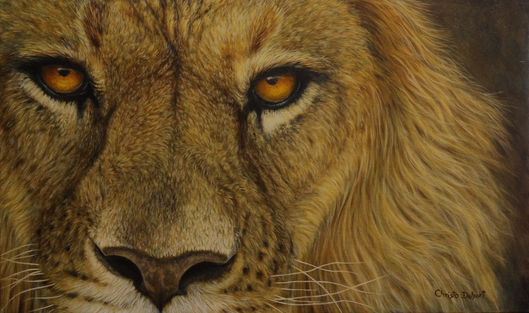 Lion s Eyes Christo Delport Art