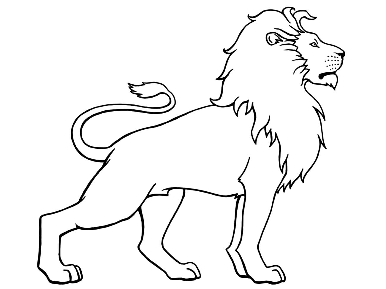 Lion Standing Lion Coloring Pages