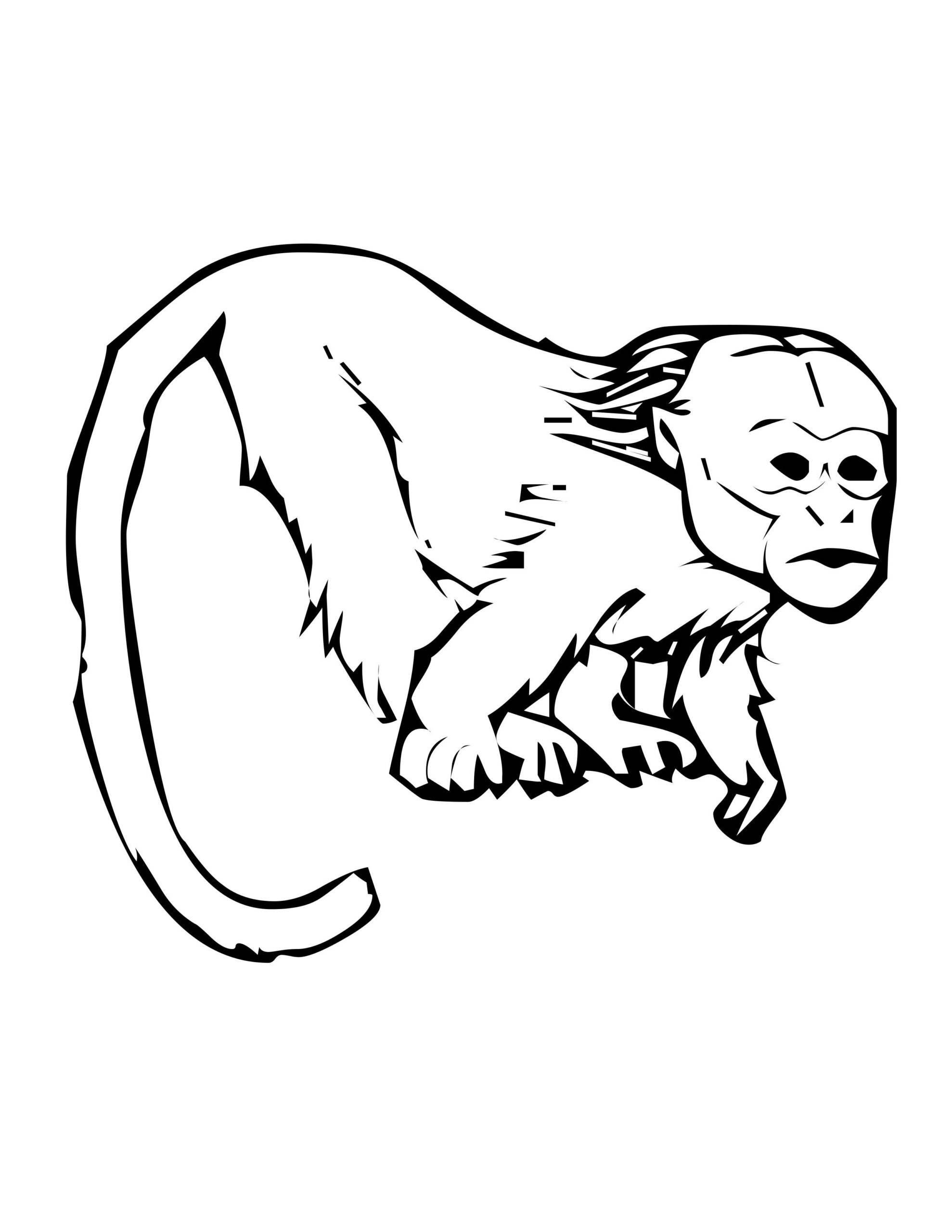 golden lion tamarin coloring page