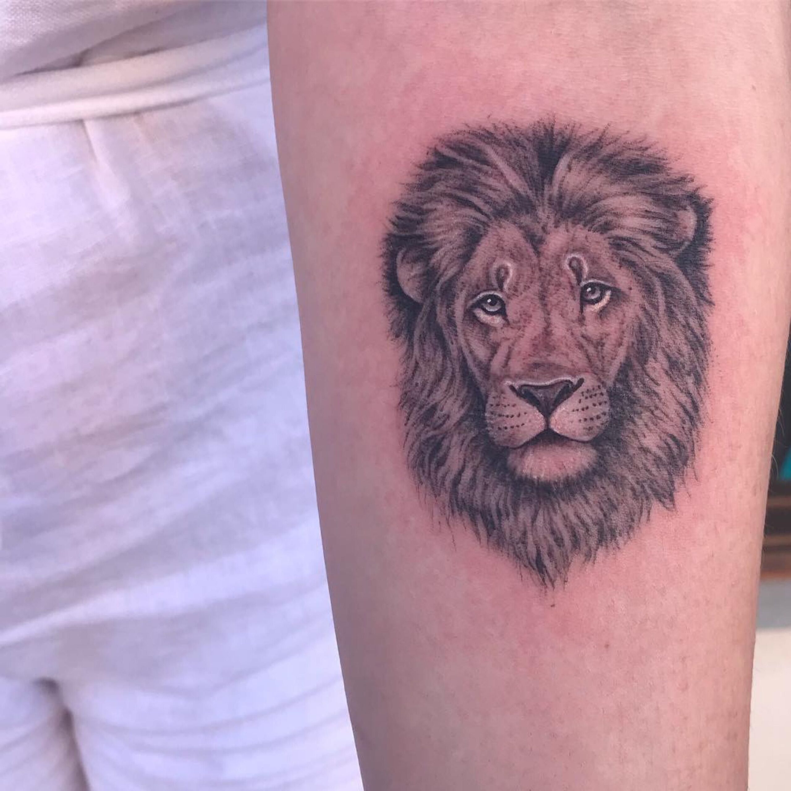 Lion Tattoo Design Tattoo Designs Tattoo Ideas Lion P Vrogue co