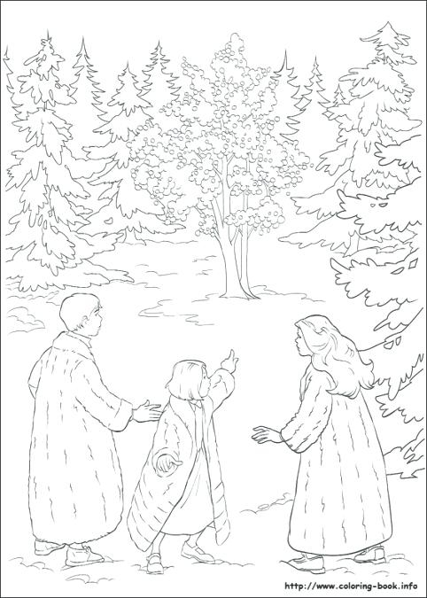 Lion Witch And Wardrobe Coloring Pages Coloring Pages