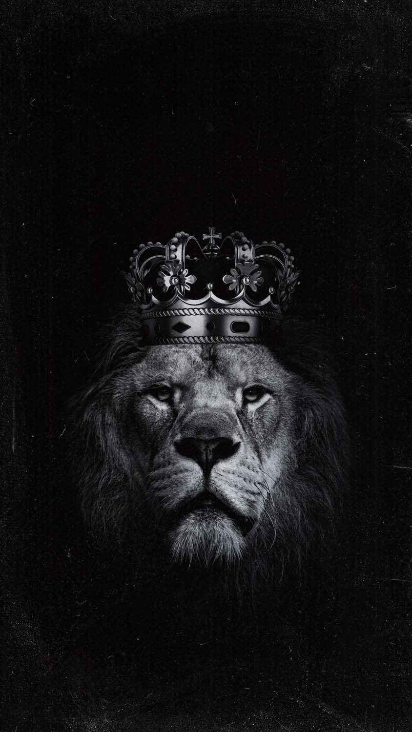Lion With Crown IPhone Wallpaper