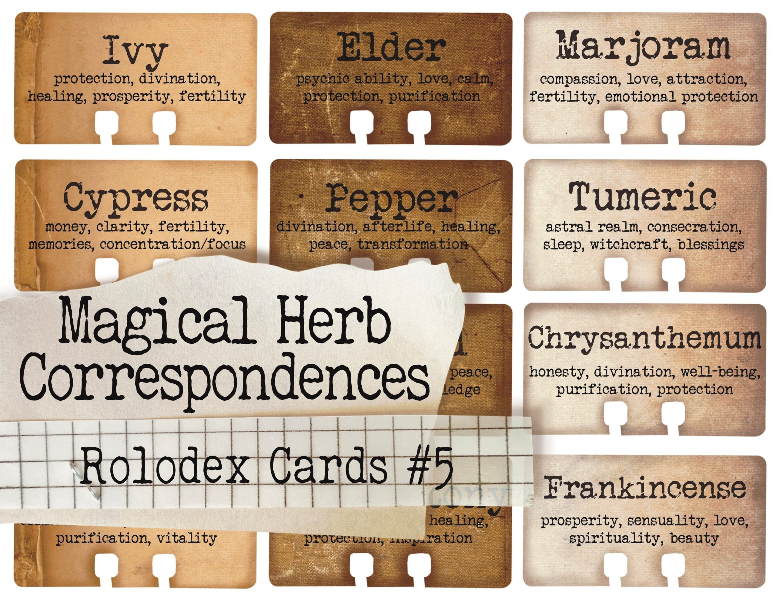 Magical Herb Correspondences Rolodex Cards 5 Word Sheet 