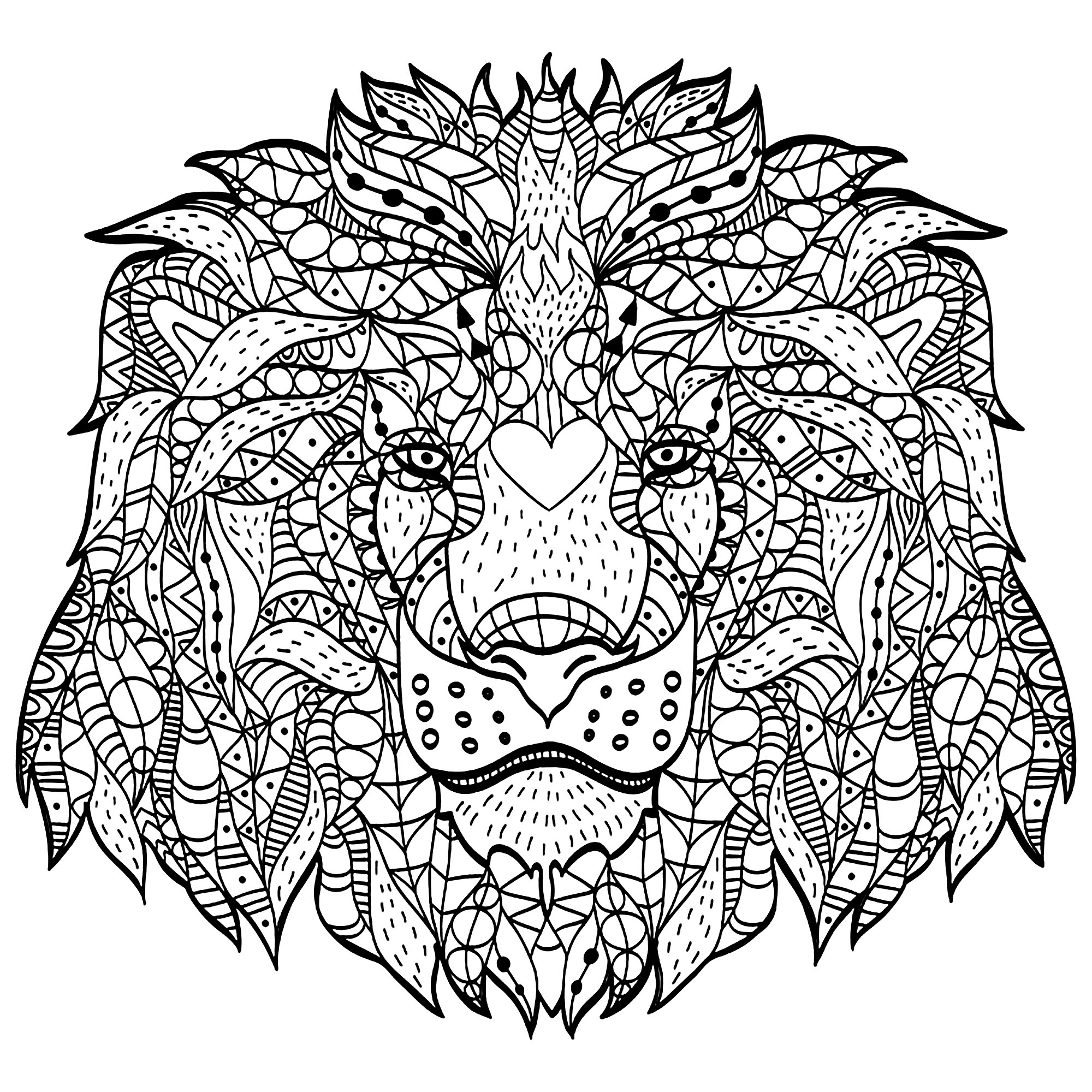 Majestic Lion Lion Coloring Pages For Adults