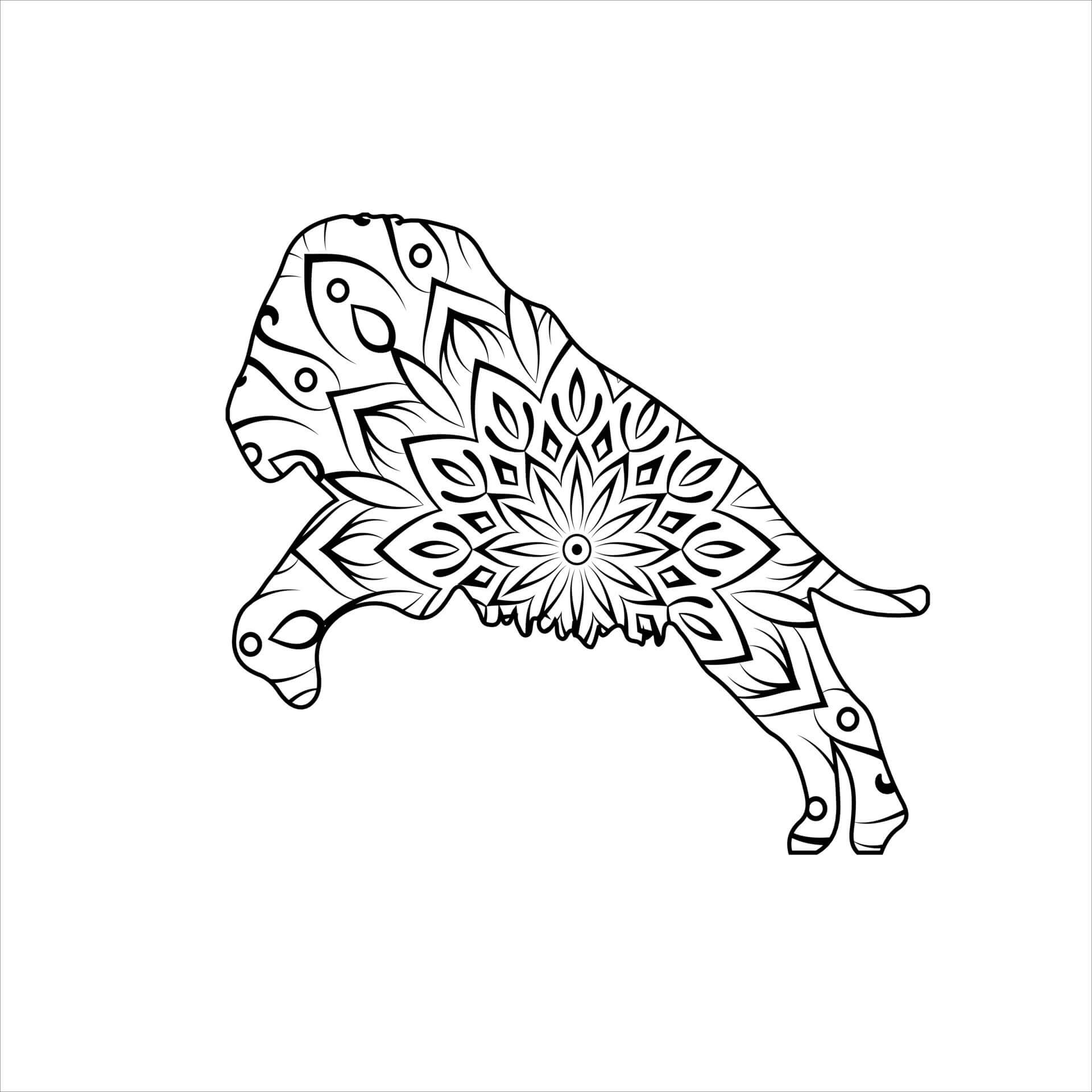 Mandala Lion Coloring Page Sheet 2 Download Print Now