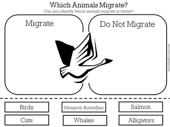 Migration Activity Migration Worksheet Migration Kindergarten