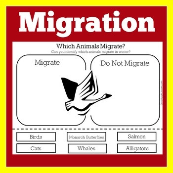 Migration Activity Migration Worksheet Migration Kindergarten