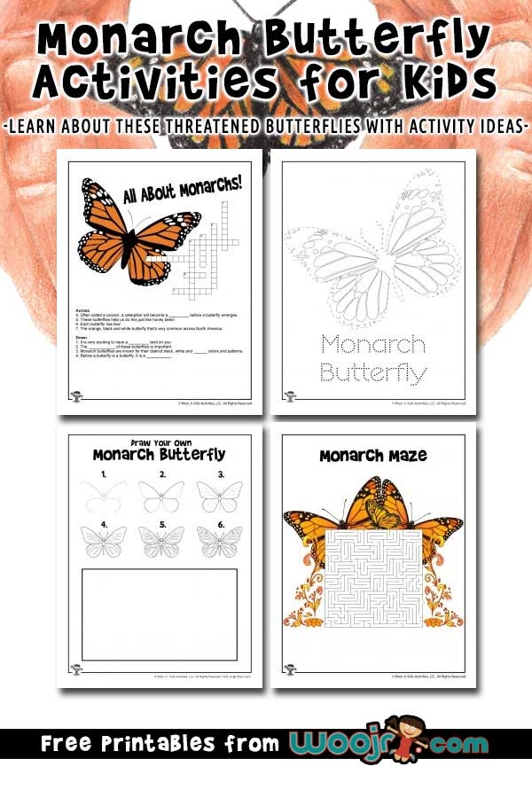 monarch butterfly activity sheets printable kids