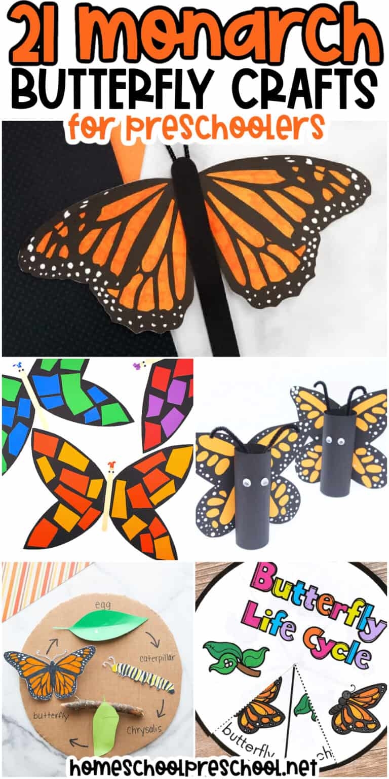 Monarch Butterfly Activity Sheets Printable Word Search Word Search Maker