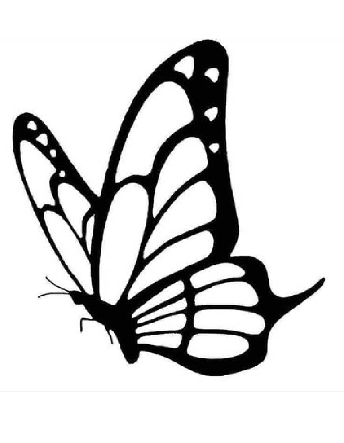 Monarch Butterfly Activity Sheets Printable Word Search Word Search Maker